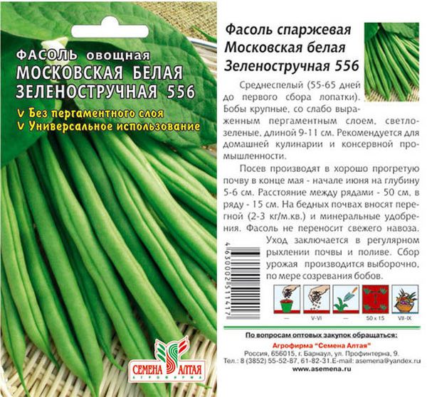 Moscou vert blanc main 556