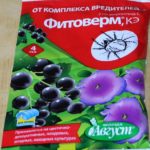 Φυτοκαλλιέργεια