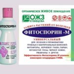 Why are leaves curling or late blight tomato?