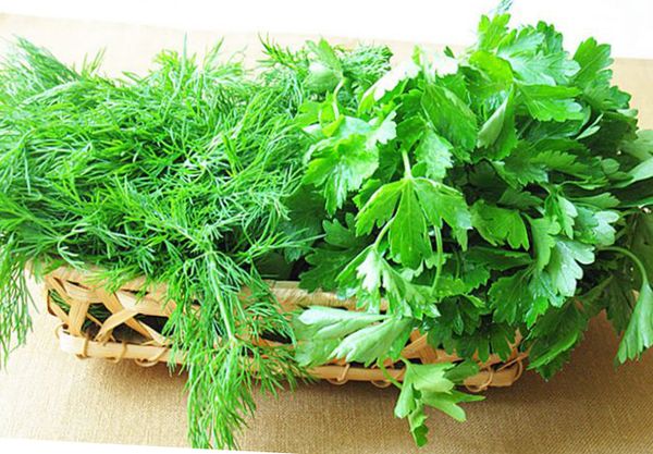  How to feed parsley and dill