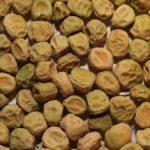 Cerveau - pour la conservation