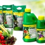 Humic fertilizers