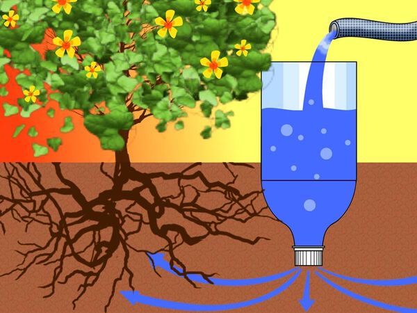 Drip irrigation saves fluid and allows it to flow directly to the roots.