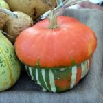 Червена качулка