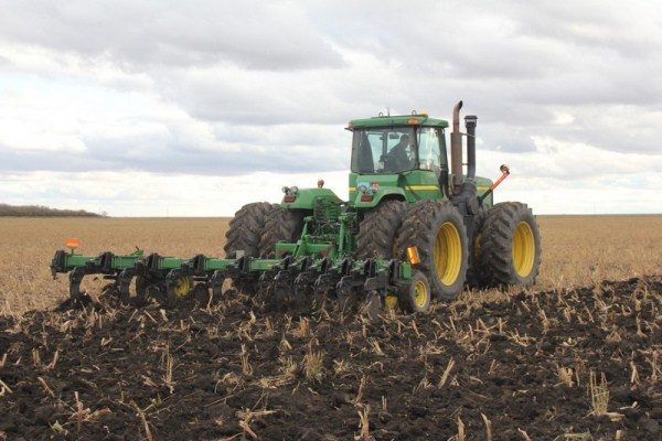 Buğday hasat sonra Perepashka alanı