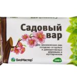 Ένα γήπεδο του κήπου αντιμετωπίζεται με ένα κλαδεμένο θάμνο ως υγειονομικό μέτρο.