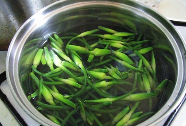 L'infusion de flèches d'ail vous aidera à lutter contre le tétranyque