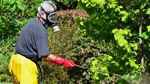 Είναι απαραίτητο να χρησιμοποιήσετε ένα παρασκεύασμα, τηρώντας τους κανονισμούς ασφαλείας