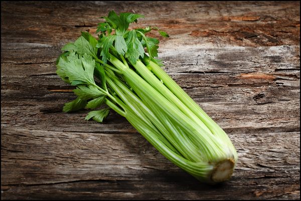  The benefits and harm of celery