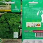 богородичка