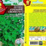 Сутрешна сутрин