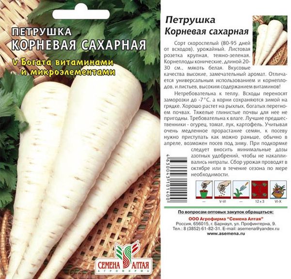 Захарен корен магданоз