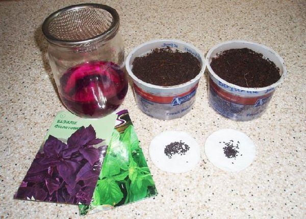 Seeds must be sanitized before planting.