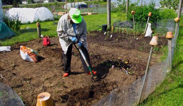 Préparation des lits