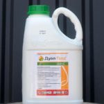 Διπλό χρυσό