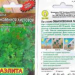 Φύλλο συνηθισμένο