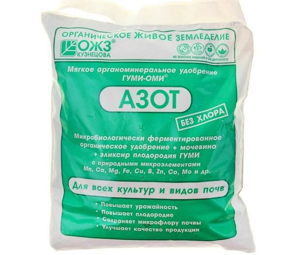 Pour la replantation de tomates au même endroit, la terre est fertilisée avec de l'azote à partir de l'automne.