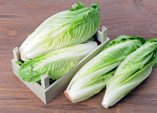 يحتوي 100 غرام من السلطة الخضراء رومان فقط 17 سعرة حرارية