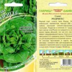 رومان رودريغيز