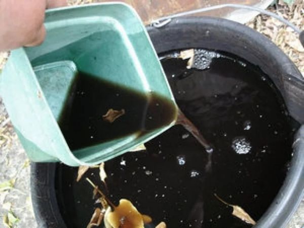 Composition and characteristics of fertilizer health