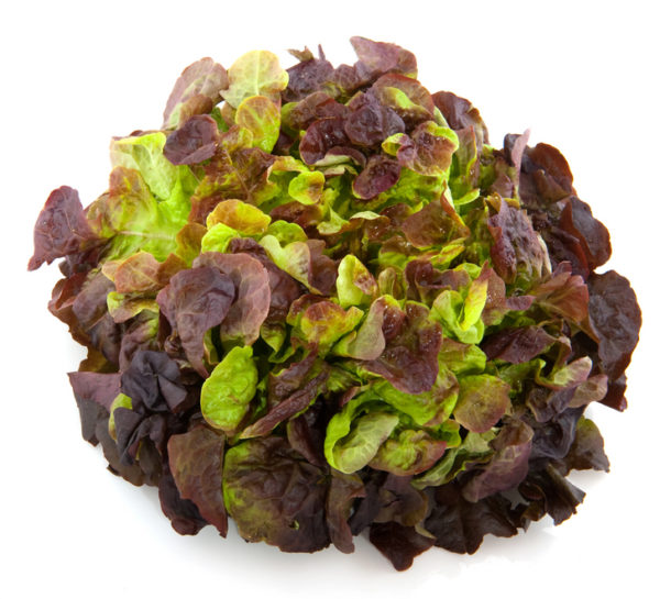 Изглед към Oakwood