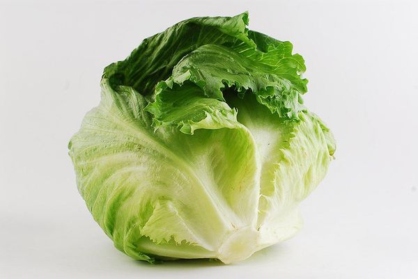 The average weight of the heads of lettuce Iceberg - 300-600 grams