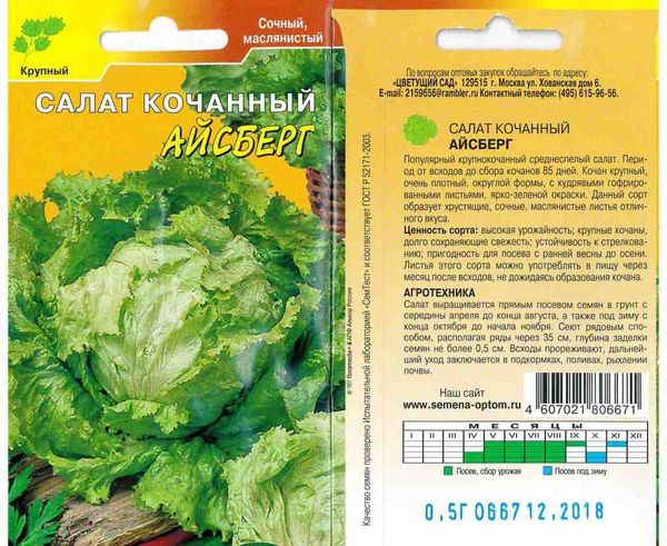 Iceberg lettuce seeds