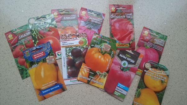 Επιλογή των σπόρων και των ποικιλιών των τοματών - ένα από τα πρώτα στάδια της γεωργικής τεχνολογίας