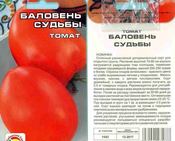 العميل من الحظ