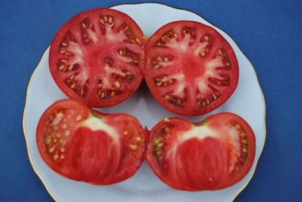 Patte d'ours tomate dans la coupe