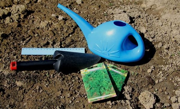 Προετοιμασία σπόρων