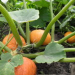 Подредете усмивката