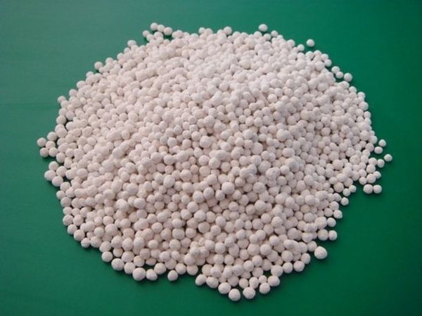 Nitrophoska est un granule et convient à n'importe quelle plante.