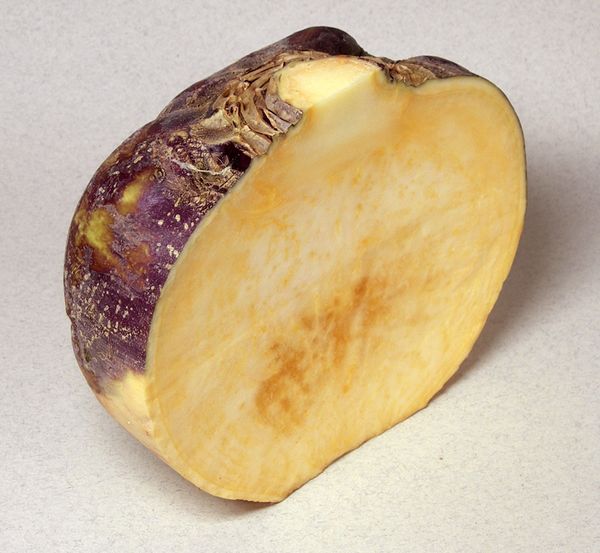 Στη λαϊκή ιατρική