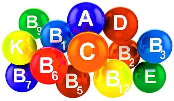 La composizione e il valore nutrizionale della foglia di lattuga