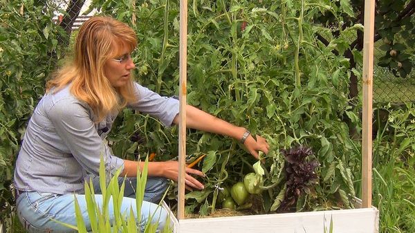 Αναχώρηση μετά την αποβίβαση