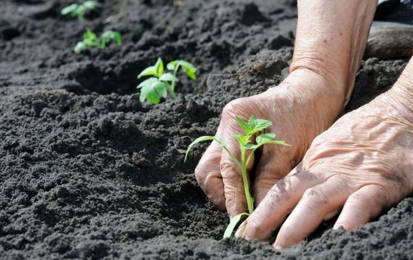 Προσγείωση σε ανοιχτό έδαφος
