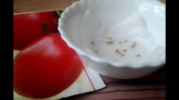 Σπορά σπόρων