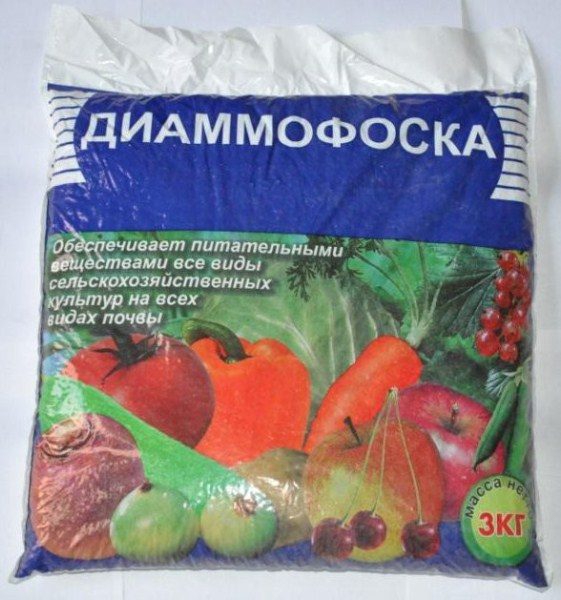 Diammofoska - engrais qui commence à agir rapidement, presque immédiatement après la fabrication