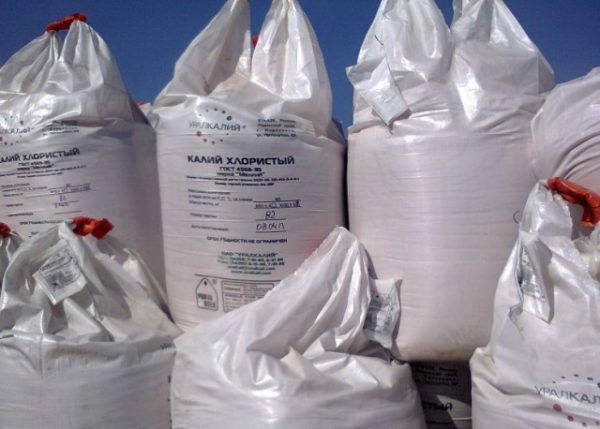 Kali sacs de chlorure