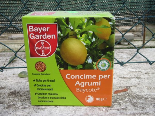 Un type d'engrais pour les citrons et les agrumes