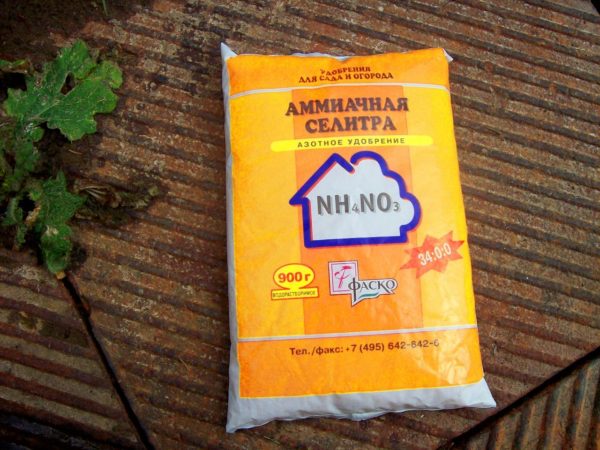 Ammonium nitrate