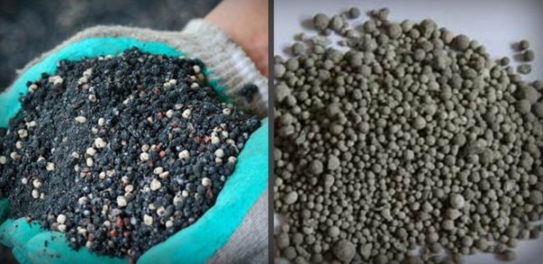 Engrais phosphoriques