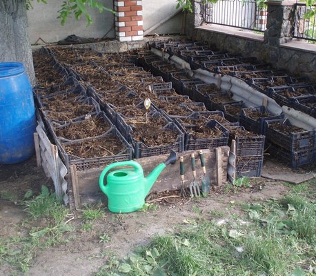 nourrir seulement après la destruction de la partie précédente