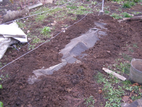 S'endormir couvert de raisins