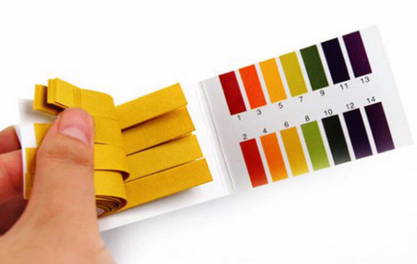 Litmus test for soil acidity