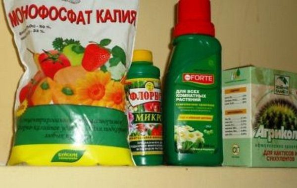 It is necessary to store fertilizer in a ventilated room, in which there is no access for children and animals