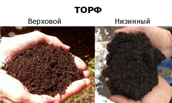 Types of peat
