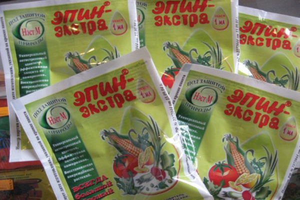 Epin - renforce parfaitement le système immunitaire des tomates