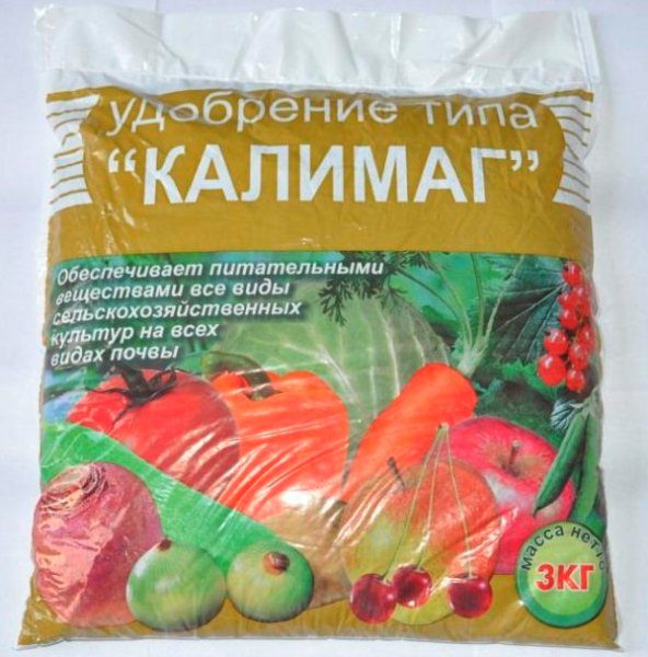 Kalimag fertilizer helps to significantly increase the yield of many crops.
